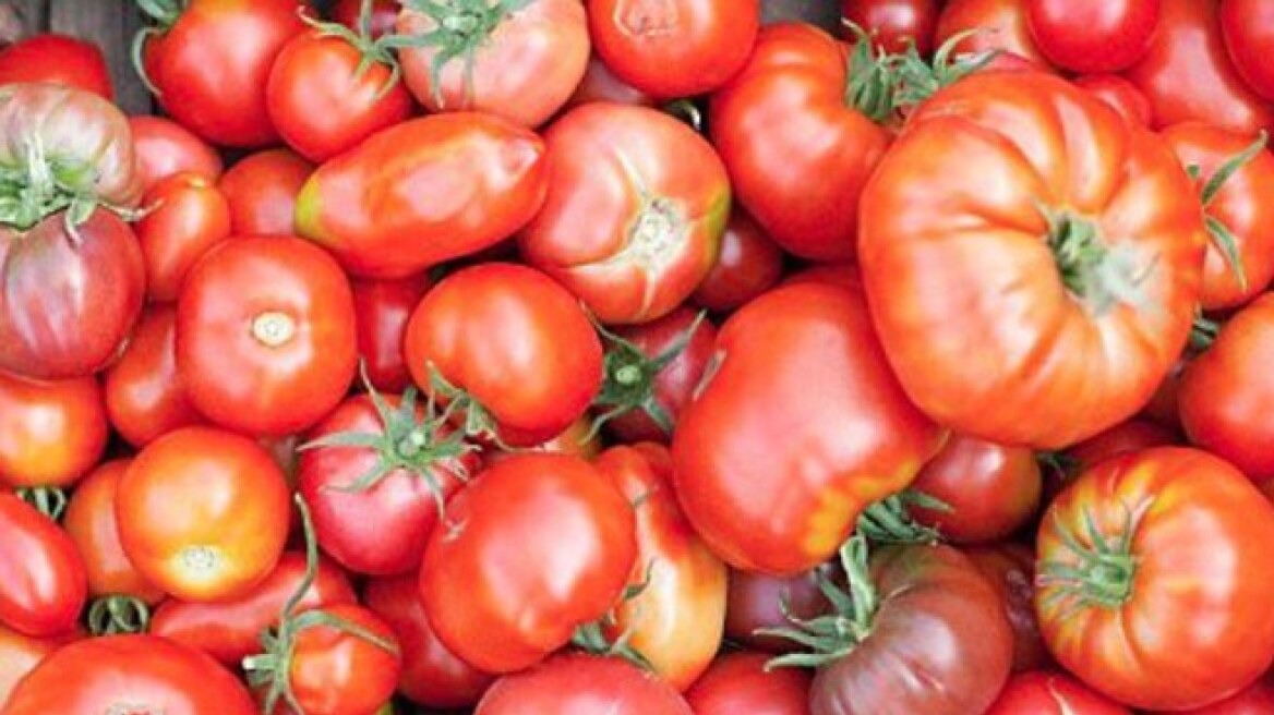 Πειραιάς: Κατασχέθηκαν 6 τόνοι ντομάτας Αιγύπτου με υπολείμματα φυτοφαρμάκου